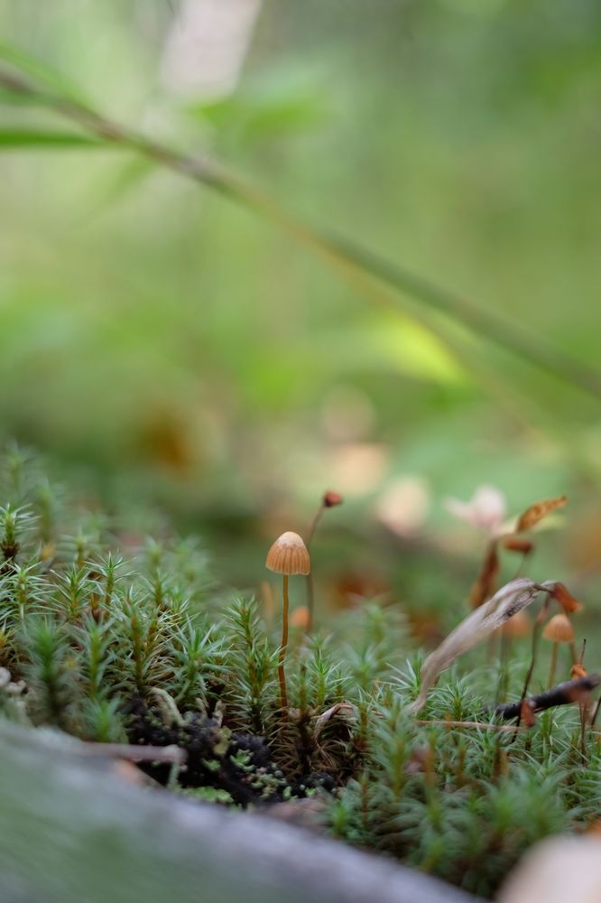 Photograph by Яна Бойко