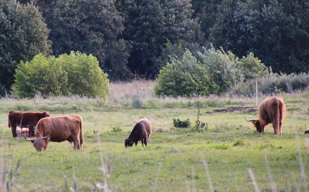 Photograph by Anna Baykova