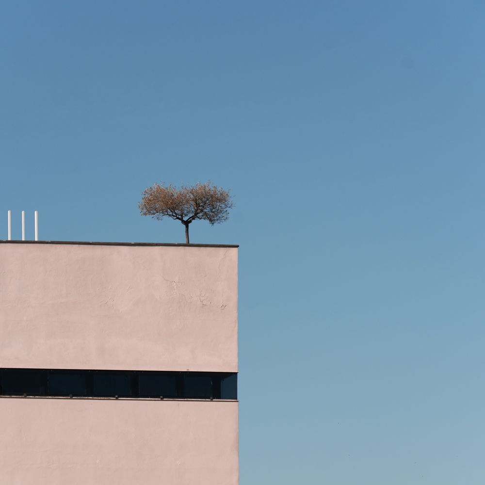 Вершина Жизни