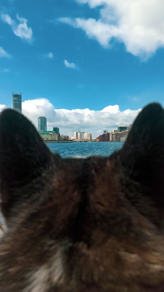 Photograph by Мария Чунтонова