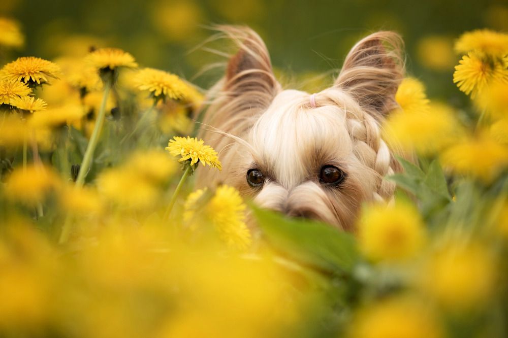 Photograph by Юлия Шатских