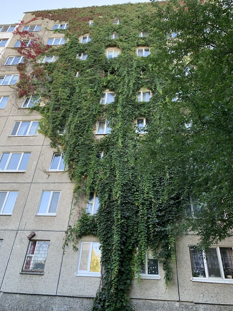 Фотография автора Ирина Шпаковская