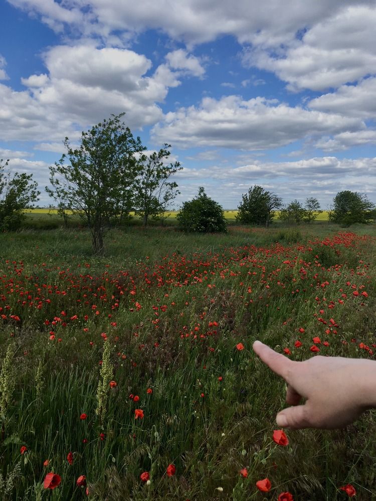 Photograph by Александр Гоцуляк