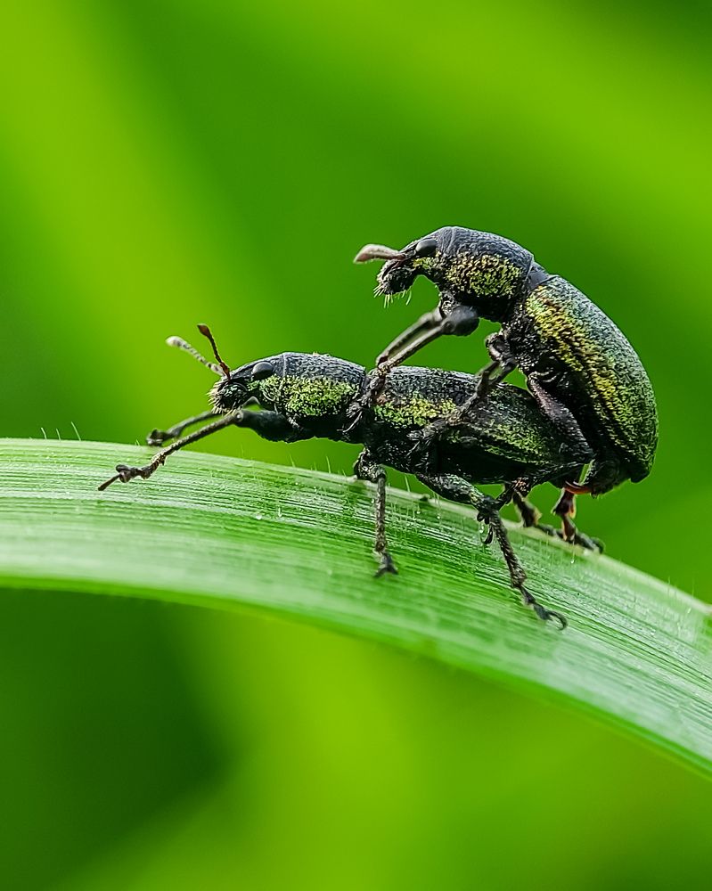 Photograph by Sumonta Paul