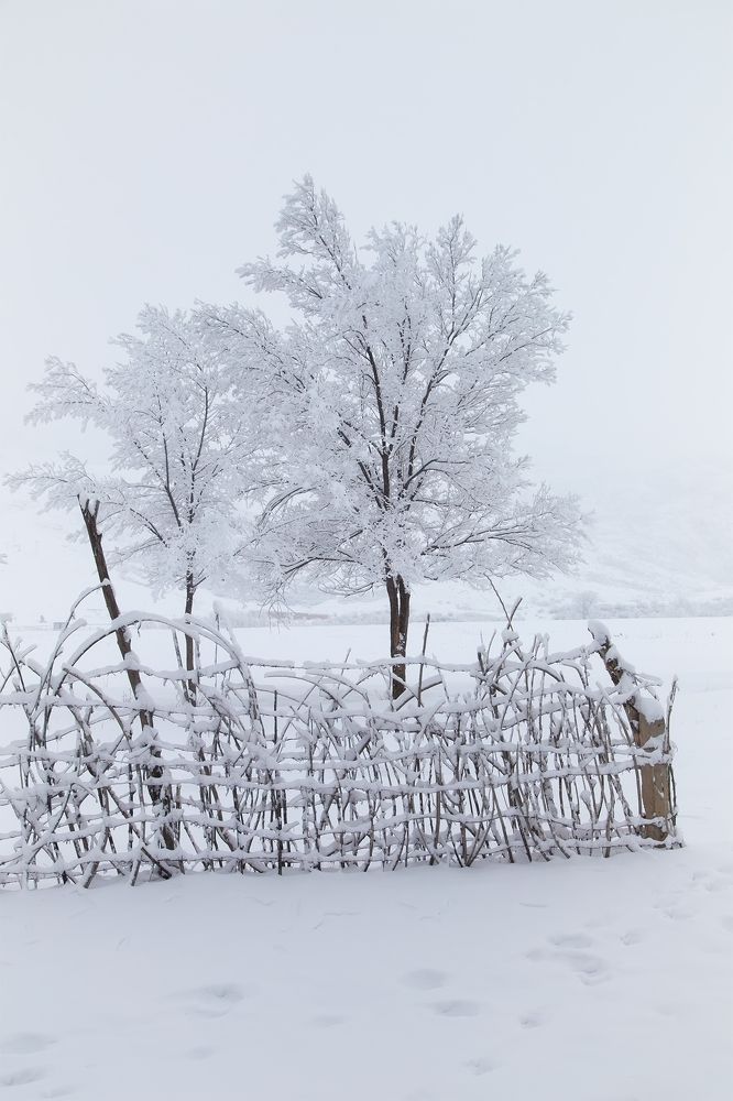 Морозное настроение
