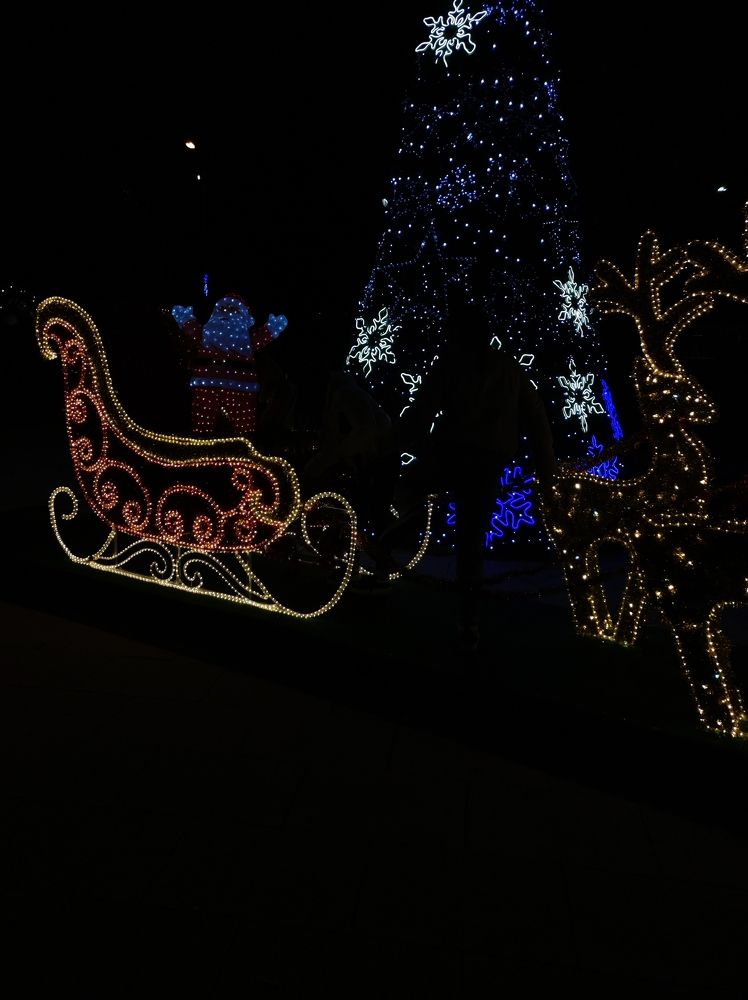 Photo #10362429