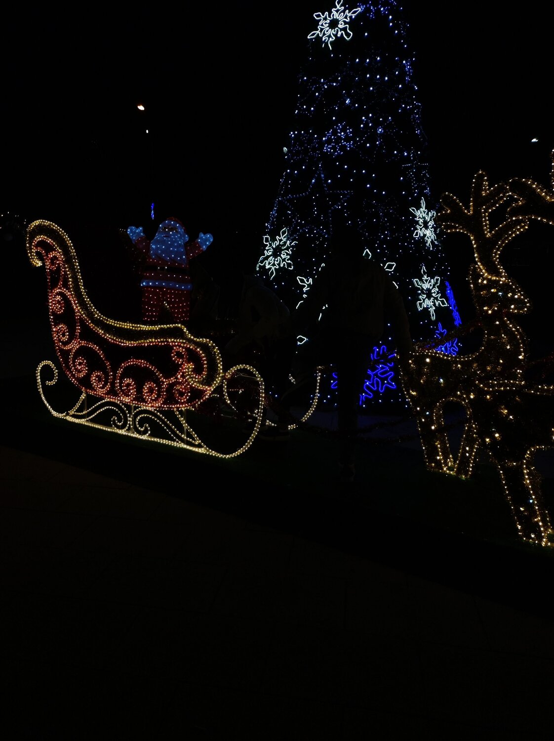 Photo #10362429