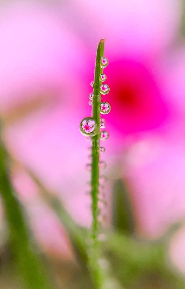 Photograph by Arindam Sahoo