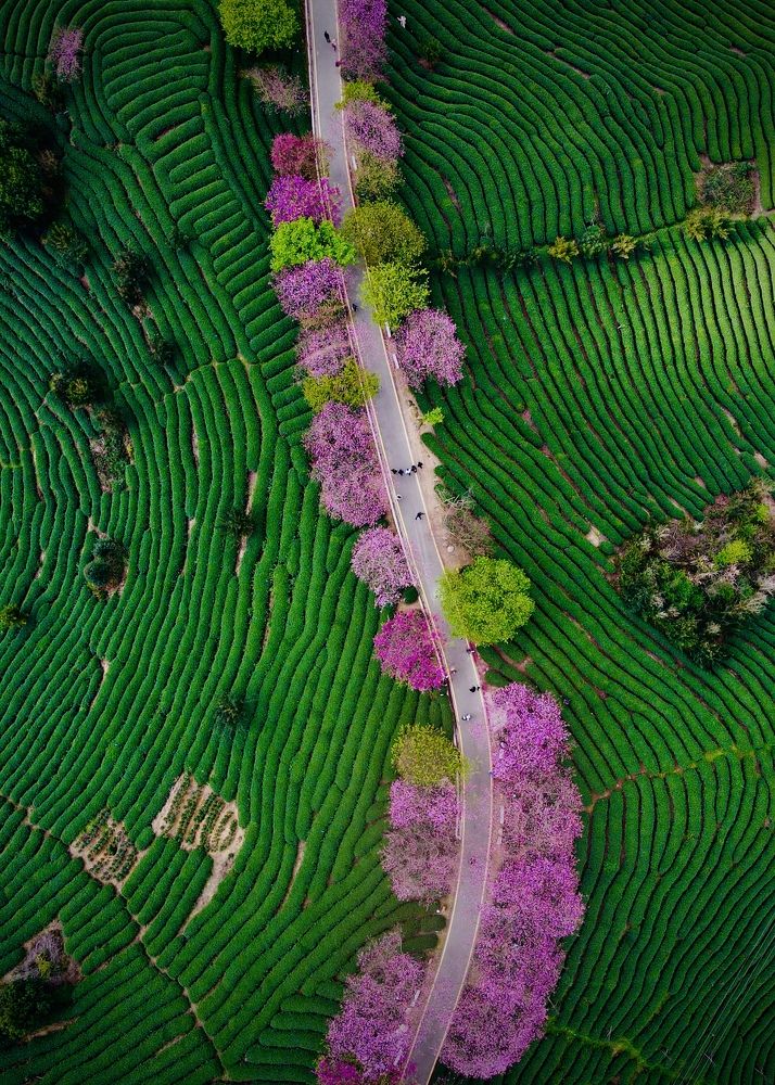 Photograph by LYU CHENXING