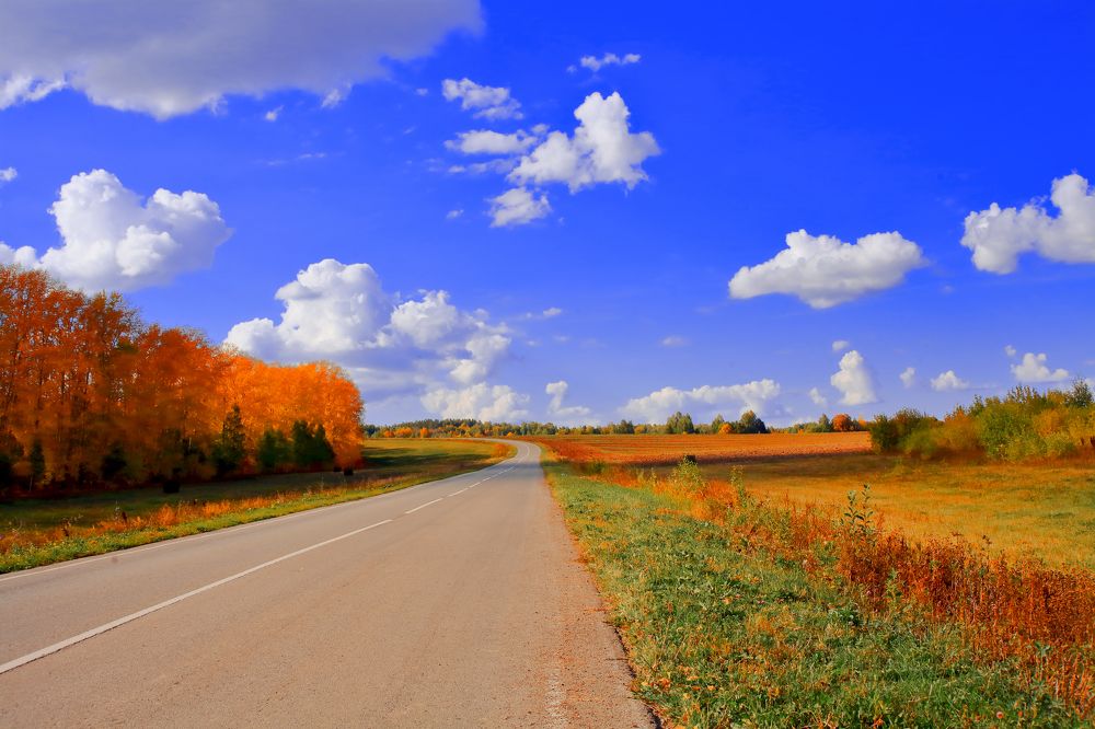 Photograph by Elena Dementova