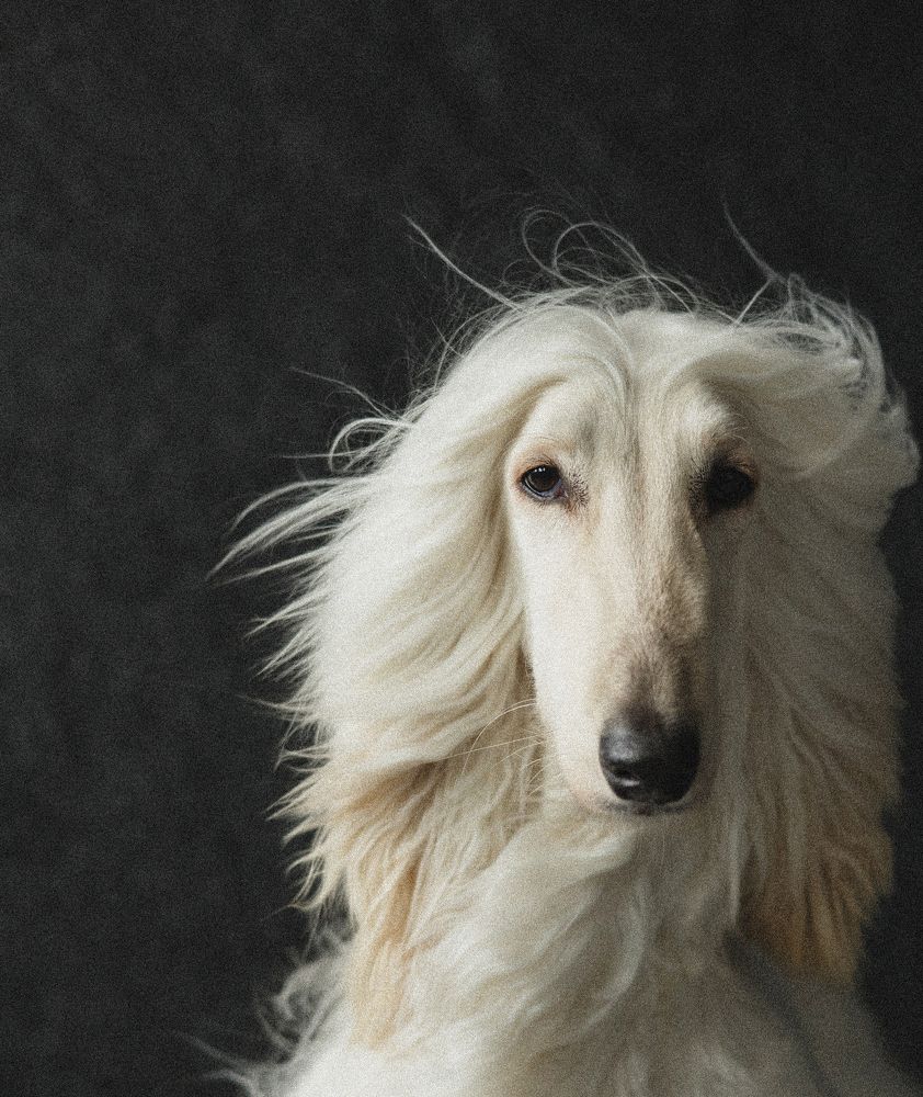 Photograph by Марина Кобелева