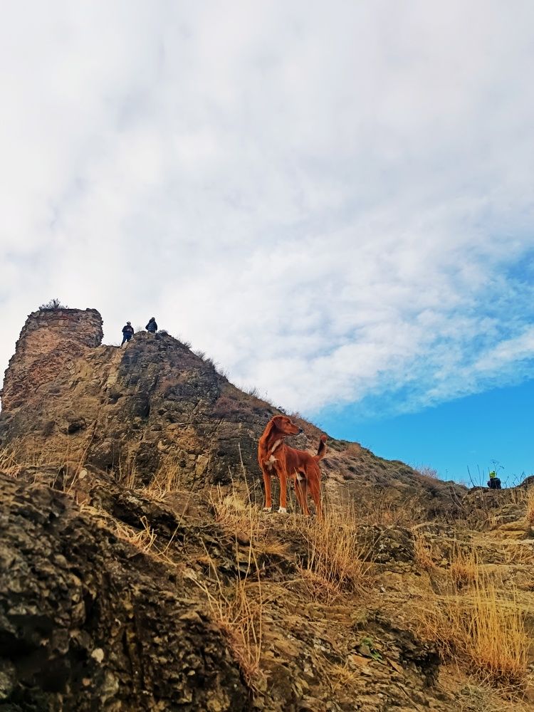 Photograph by Юлия Гришина