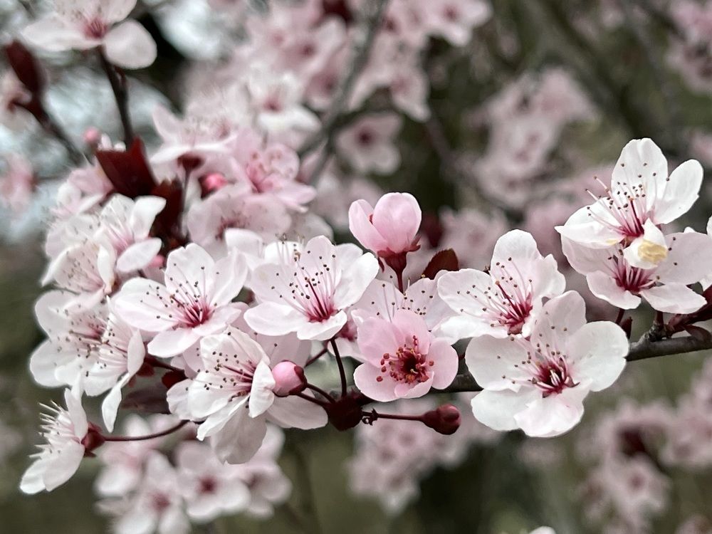 Photograph by Константин Нагорняк