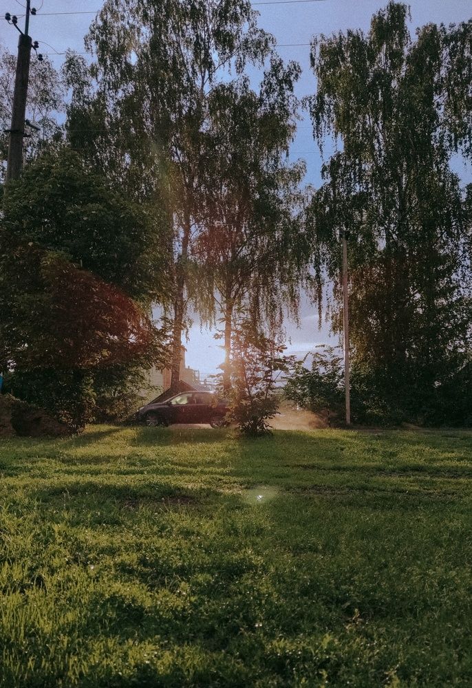 Photograph by Юлия Плаксина