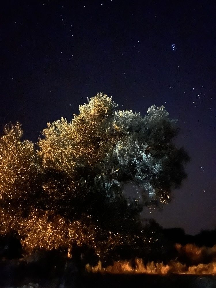 Photograph by Татьяна Унал