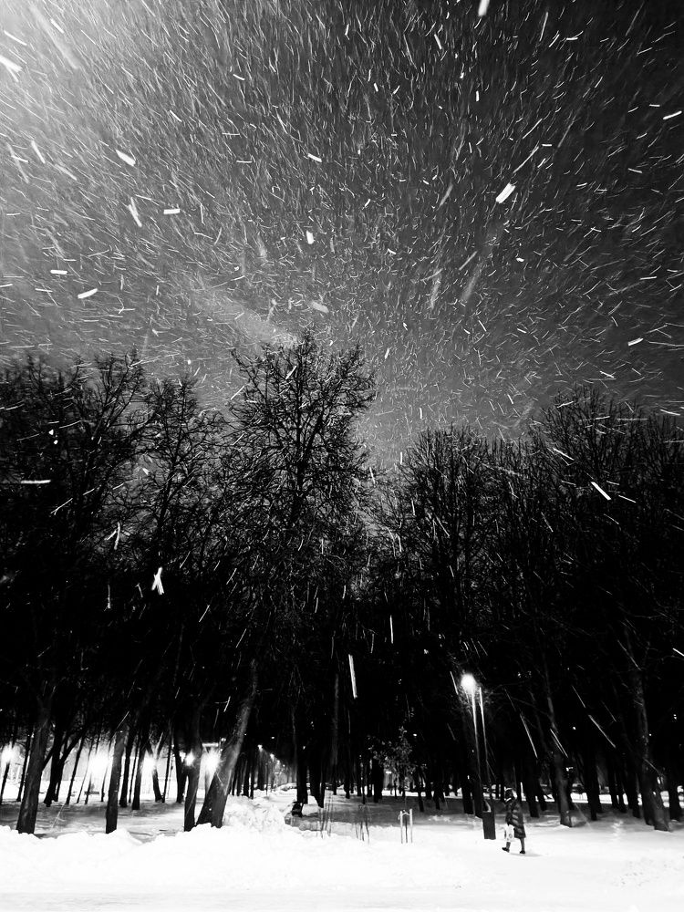 Photograph by Юлия Гришина