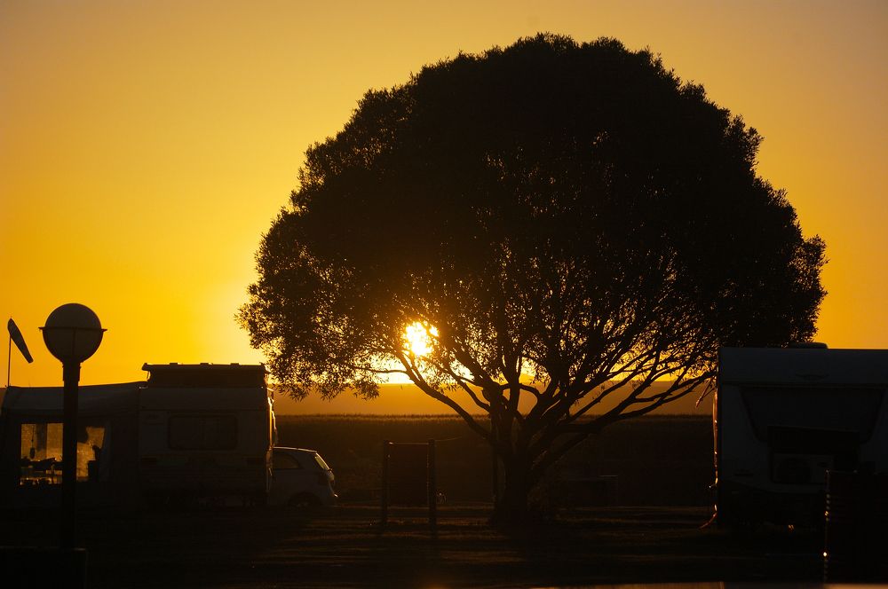 Photograph by Craigan Wilkinson