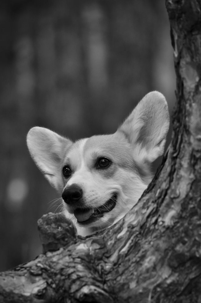 Photograph by Ирина