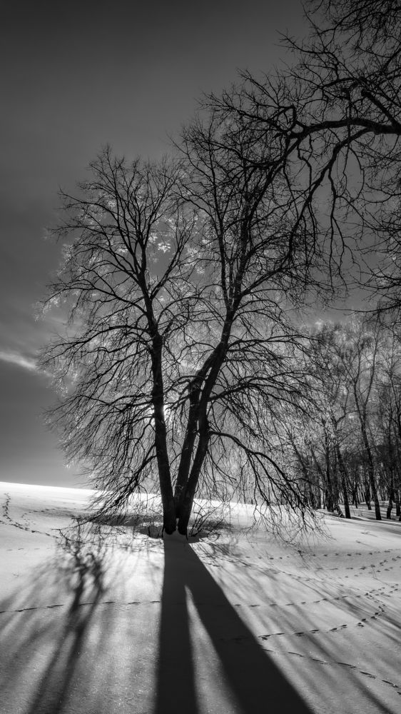 Фотография автора Андрей Арапов