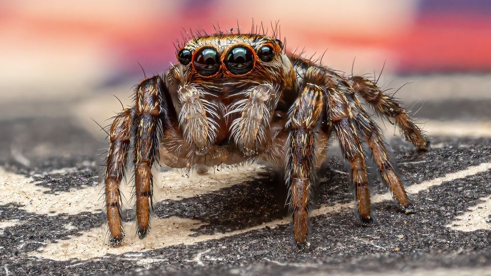 Photograph by Сергей