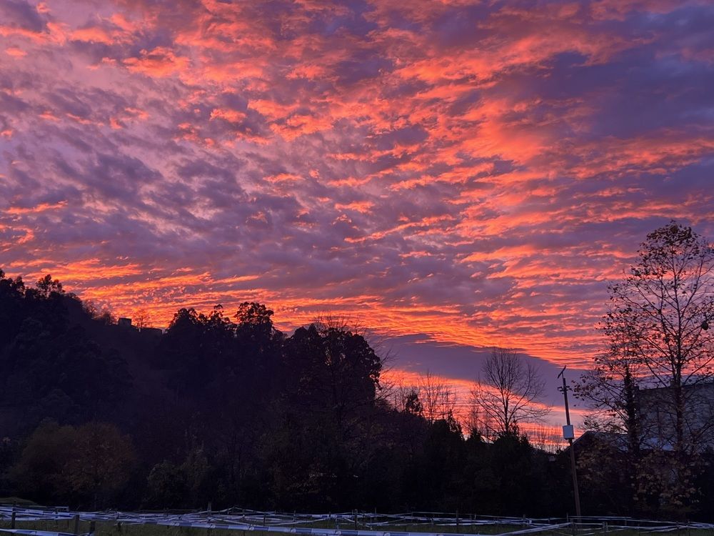 Photograph by Константин Нагорняк