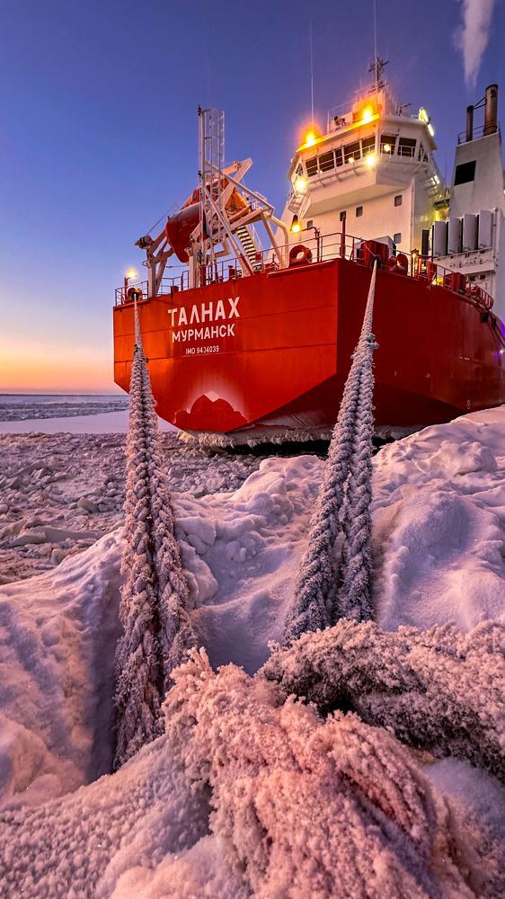 Photograph by Elena Doroshenko