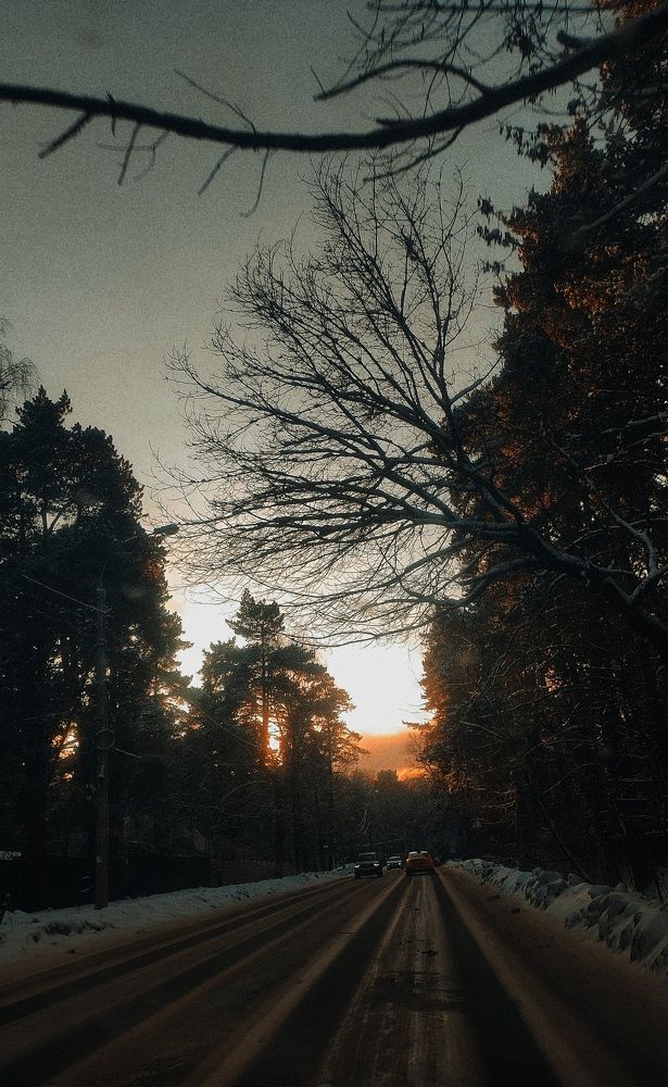 Photo #10362605