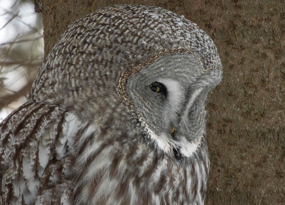 Photograph by Вотинцева Елена