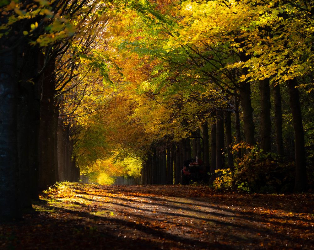 Photograph by Hoandra Ilie