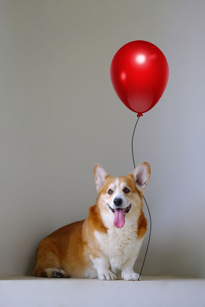 Photograph by Станислав Дроздов