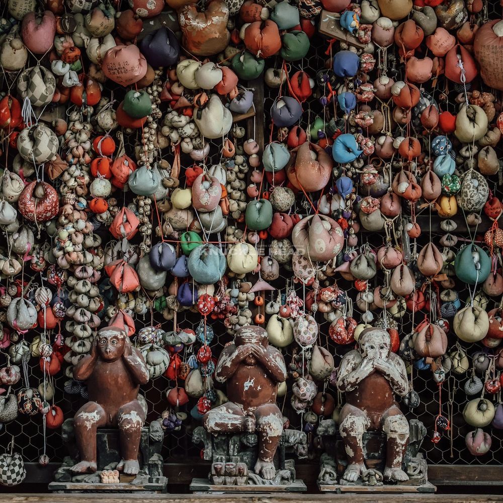 Photograph by Ikumi Taniguchi