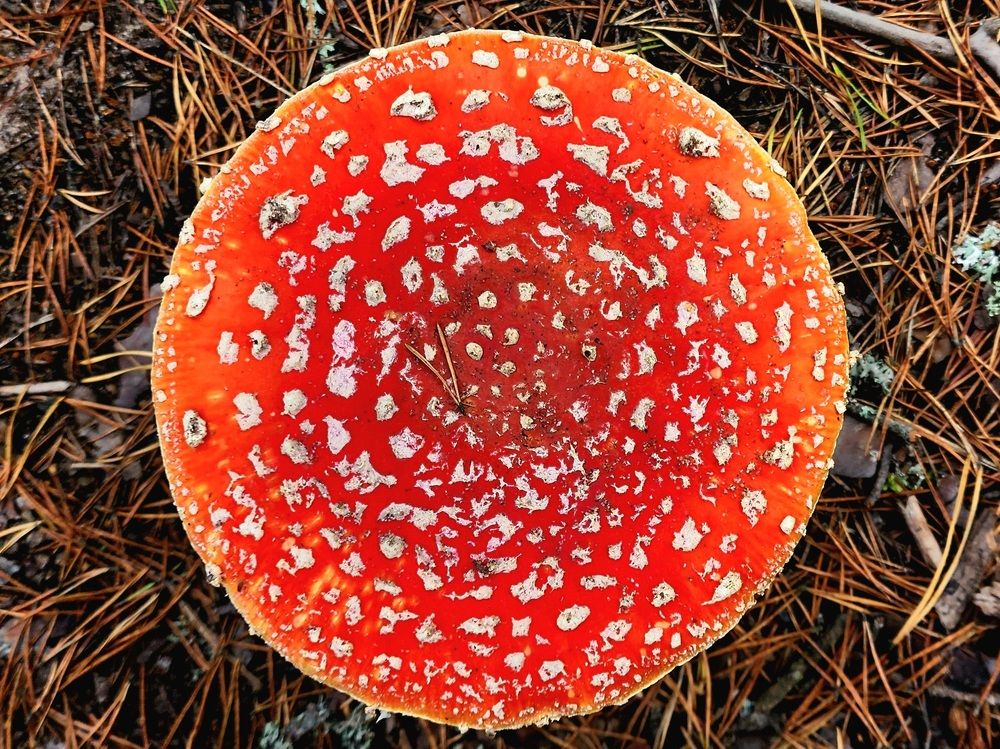 Photograph by Анна