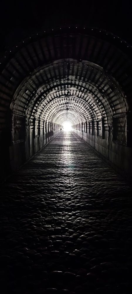 Photograph by mohamad jahanpour