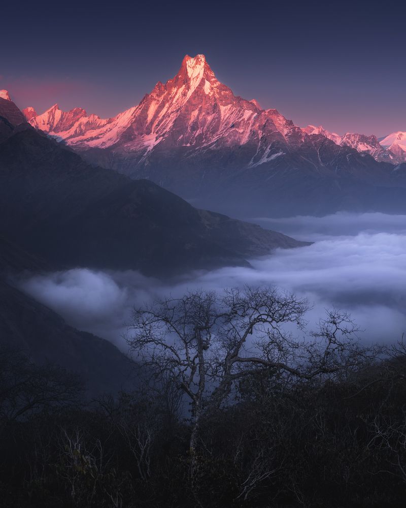 Photograph by Политова Анна