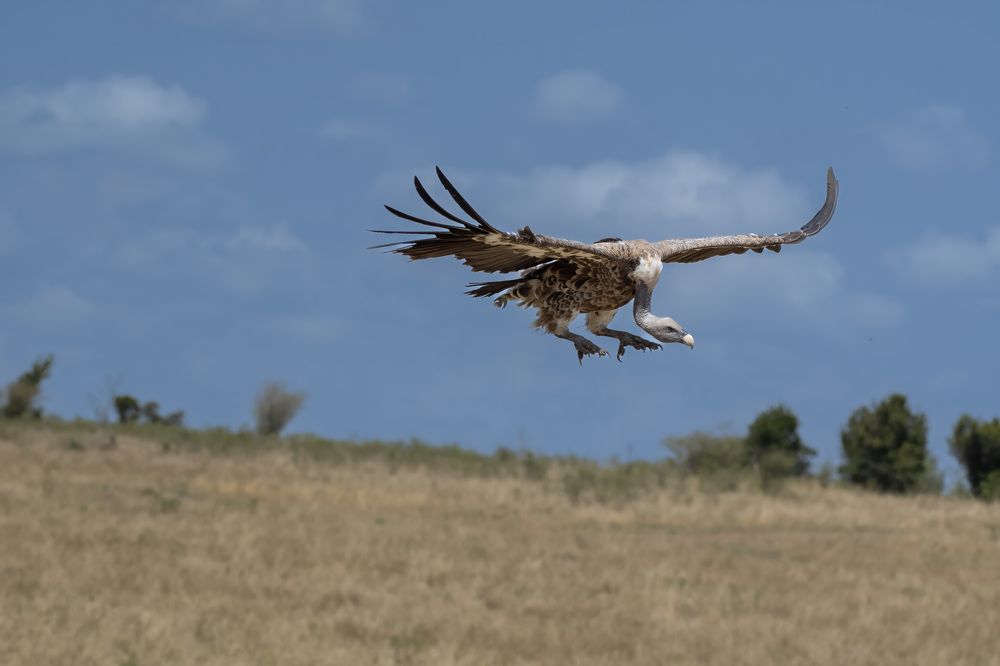 Фотография автора Gokul Addanki