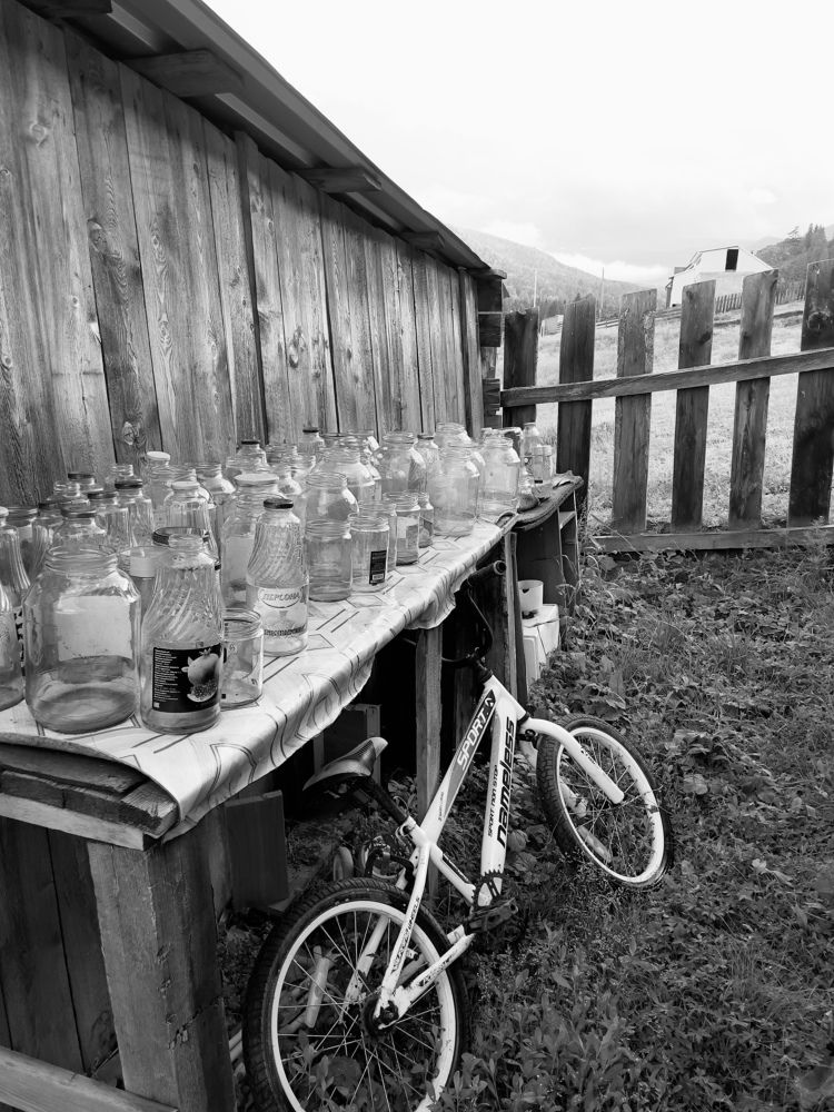 Photograph by Ольга Унутова( Виноградова)