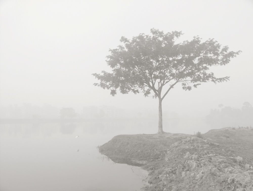 Photograph by Khushi Bhomik