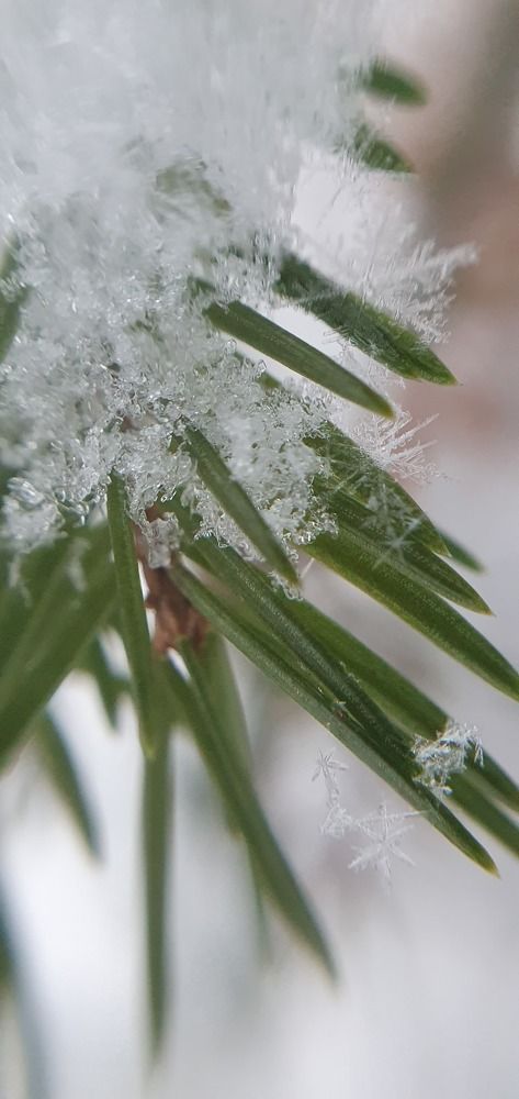 Photograph by Ирина Ульяницкая