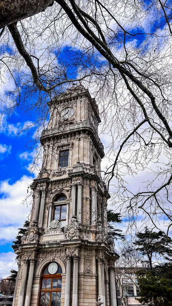 Photograph by Samer Husseini