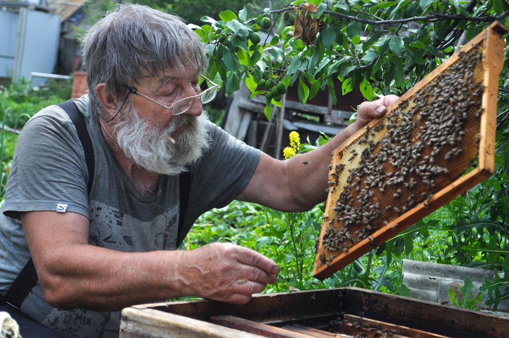 Фотография автора Мария Молодухина