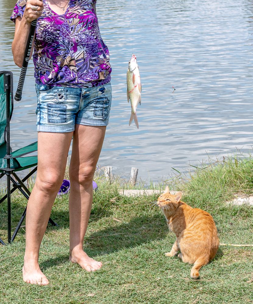 Photograph by Александр Ляндрес