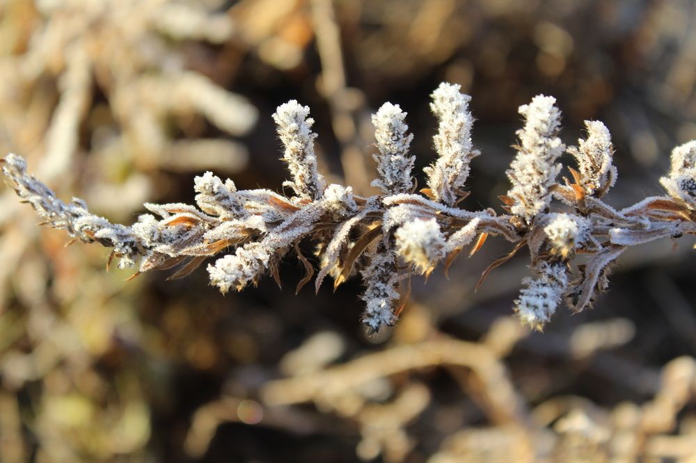 Photograph by Юлия Рыбинцева