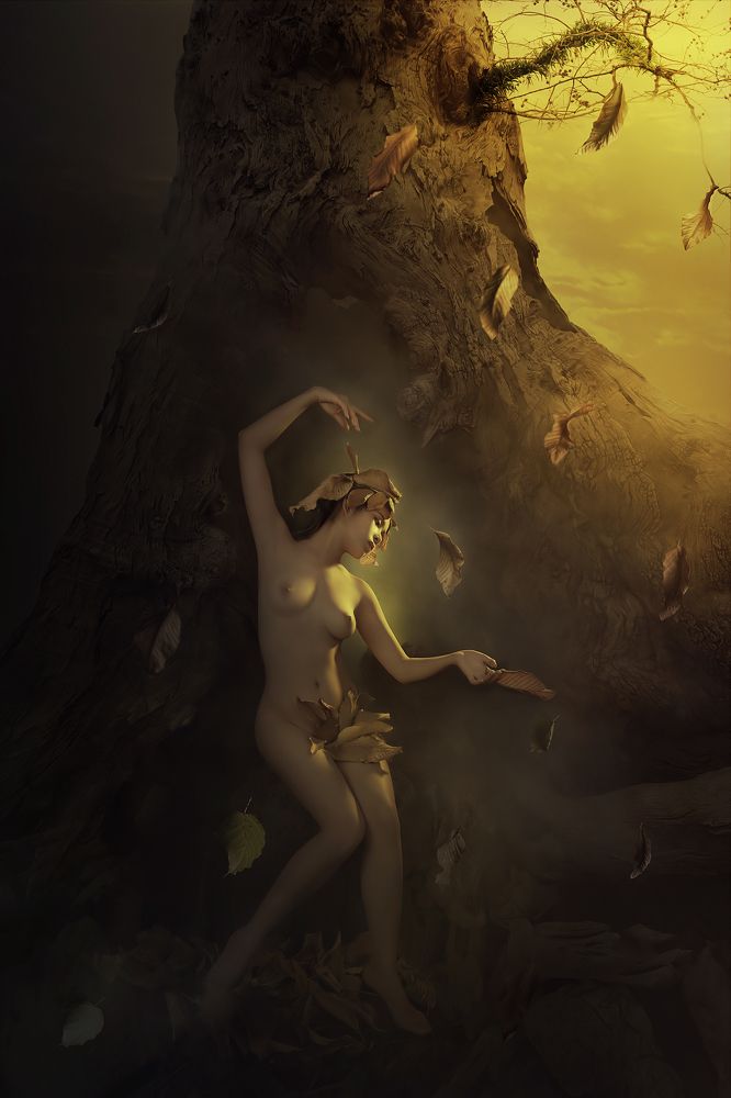 Photograph by Lê Hồng Tuấn