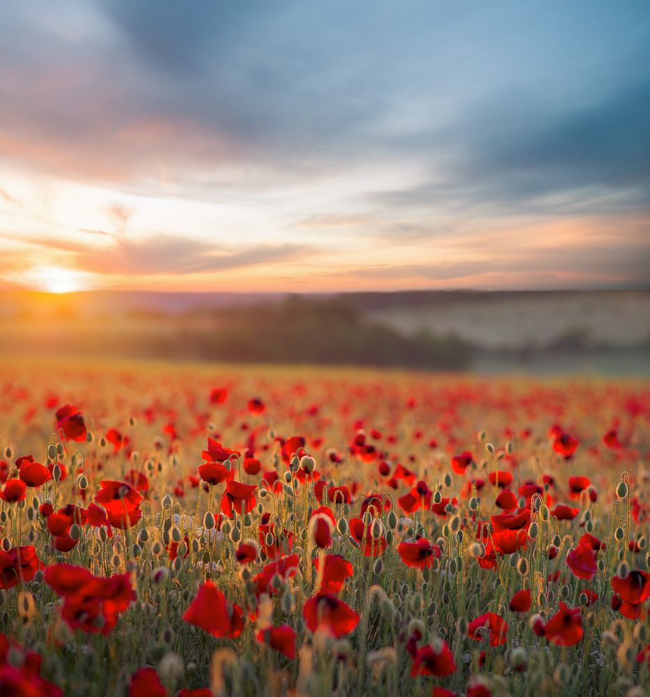 Photograph by Алексей Юденков