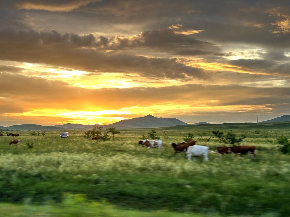 Photograph by Ольга Байгажакова