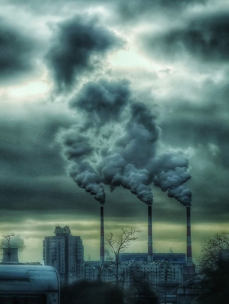 Фотография автора Максим Светличный