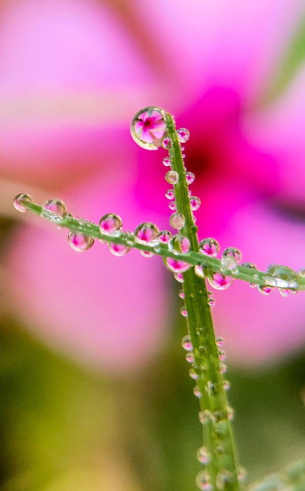 Photograph by Arindam Sahoo