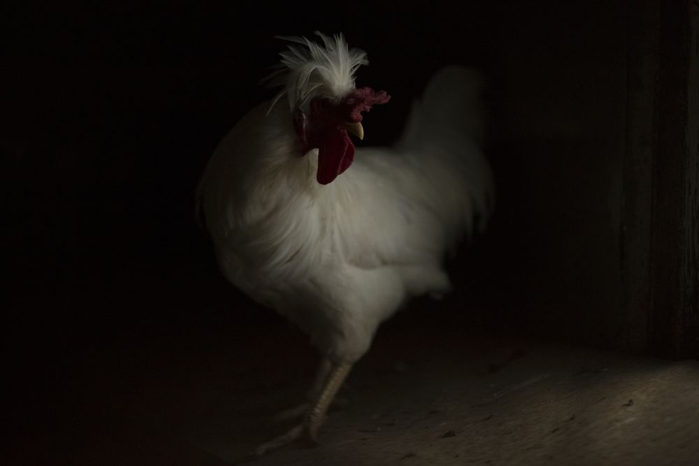 Photograph by Мария Калачева