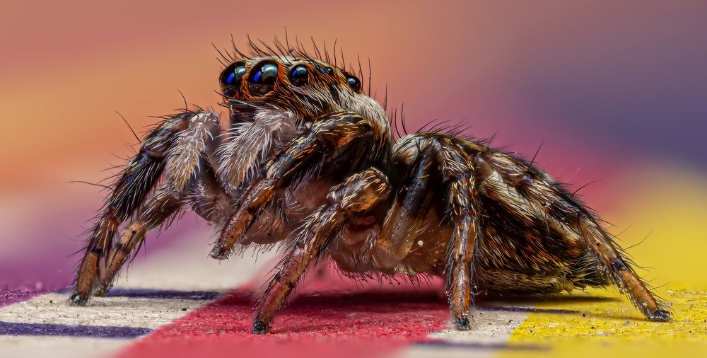 Photograph by Сергей