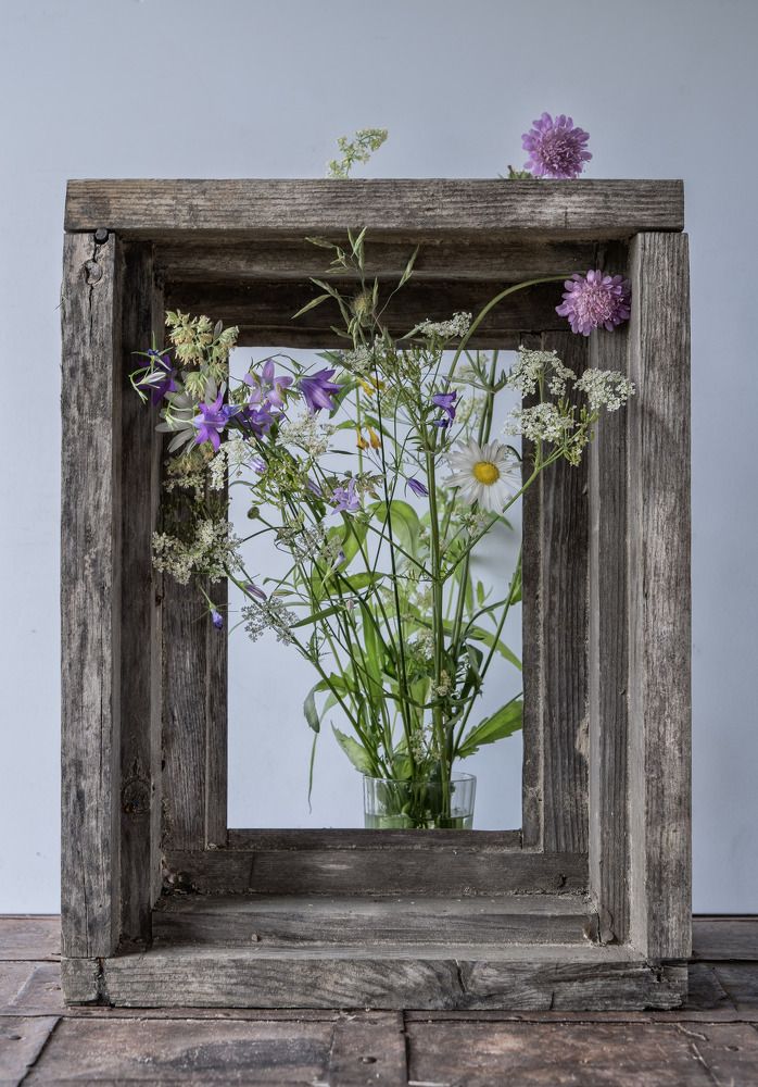 Фотография автора Могилевцева Дарья